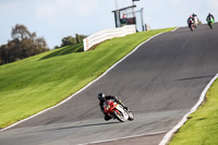 16-10-2019 Oulton Park photos by Peter Wileman